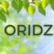 Oridzin